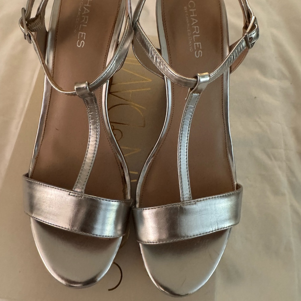 Charles David Silver Sandals with Ankle Strap